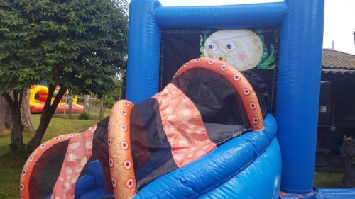 Springkussen Mini walvis met slide